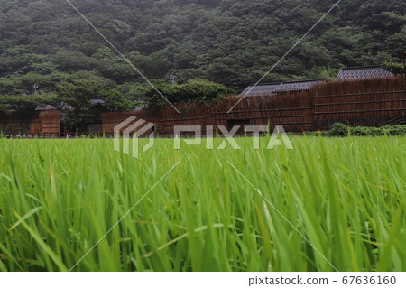 手工籬笆保護的村莊 67636160