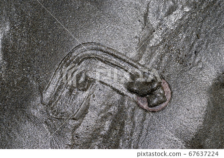 After wearing Hasuno Hakashi bread 67637224