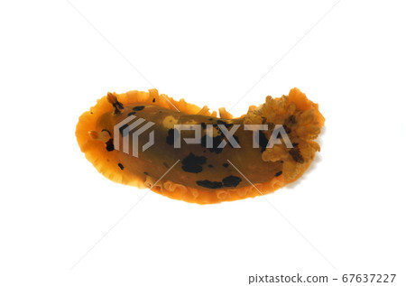 Madara Umushi White background 67637227