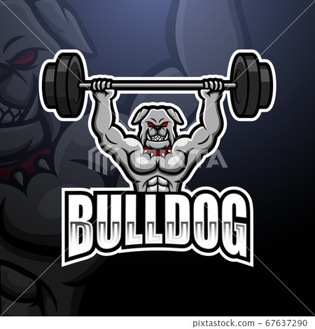 Bulldog barbell 2024