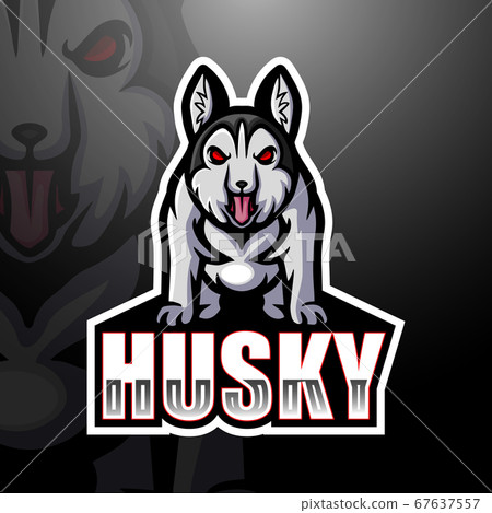Husky dog mascot esport logo design	 67637557