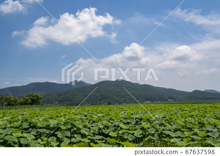 Doomari, Yangpyeong-gun, Gyeonggi-do 67637598