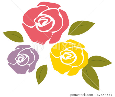 Vector illustration of colorful rose flower 67638355