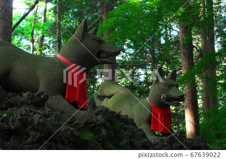 Toyokawa Inari's Rei Mitsuka Fox: Toyokawa City, Aichi Prefecture Toyokawa Inari's Rei Mitsuka Fox: Toyokawa City, Aichi Prefecture 67639022