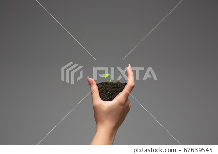 Human hands holding a fresh green plant, symbol of growing business, environmental conservation and bank savings. Planet in your hands. Human hands holding a fresh green plant, symbol of growing business, environmental conservation and bank savings. Planet in your hands. 67639545