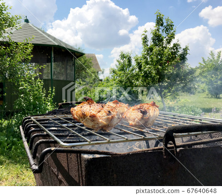 grilled chicken meat on the grill ready for eating grilled chicken meat on the grill ready for eating 67640648