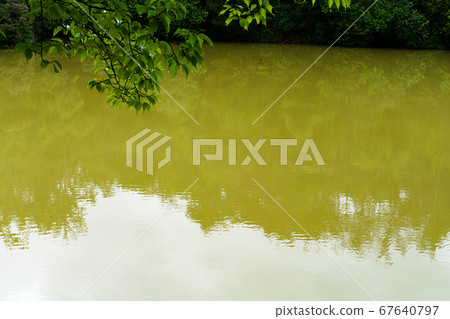 Cloudy pond 67640797