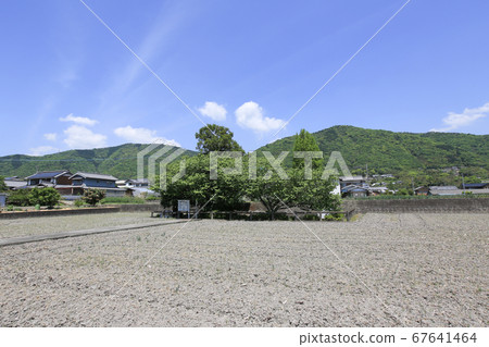 德島縣春季東三好町東原阿次治遺址 德島縣春季東三好町東原阿次治遺址 67641464