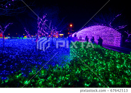 未來之光 67642513