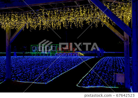 Miraie Light Up 67642523