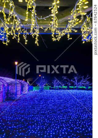 Miraie Light Up 67642524