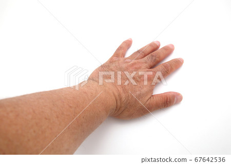 多毛的手 67642536