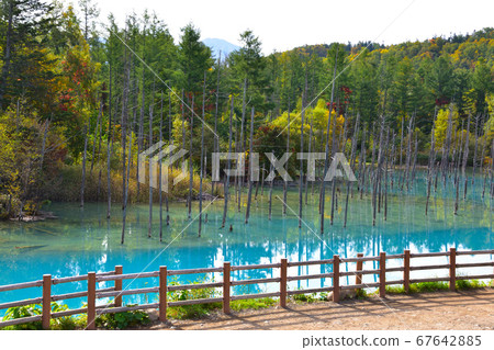 Biei Aoi pond early fall Biei Aoi pond early fall 67642885