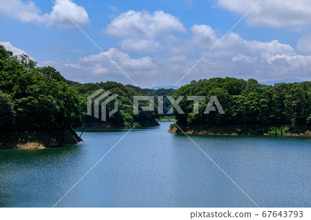 富山和江戶森林 67643793