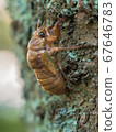 The emergence of Abra seminar 1/5 67646783