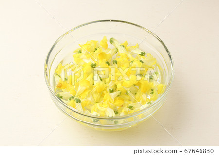 食用花卉 67646830