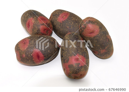 Potato (destroyer) Potato (destroyer) 67646990