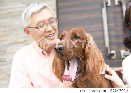 Pets and senior man 67647014