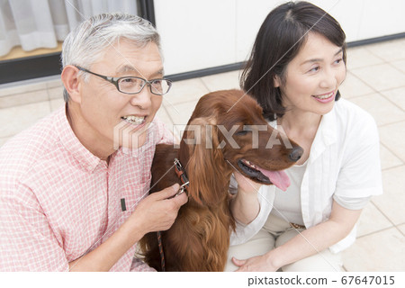 Pets and senior couple 67647015