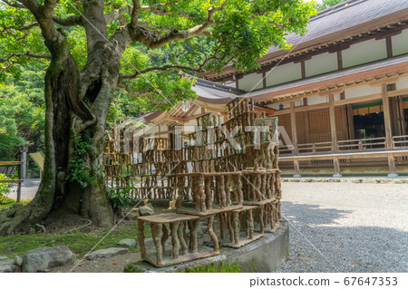 Tsubaki Dai Shrine 4172 67647353