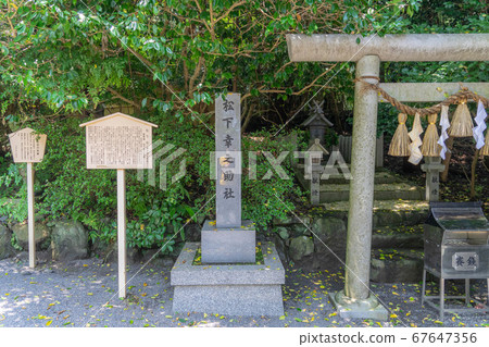 Camellia shrine 4169 67647356