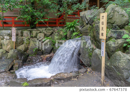 茶花神社4127 67647378
