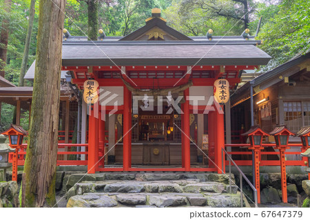 茶花神社4103 67647379