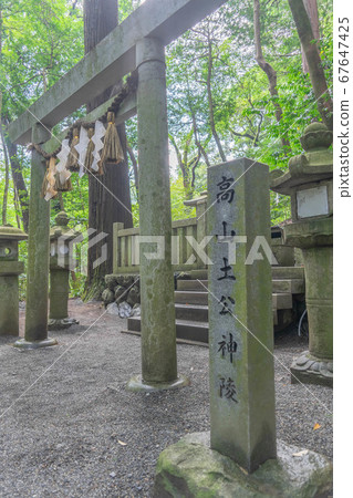 椿大社4021 67647425