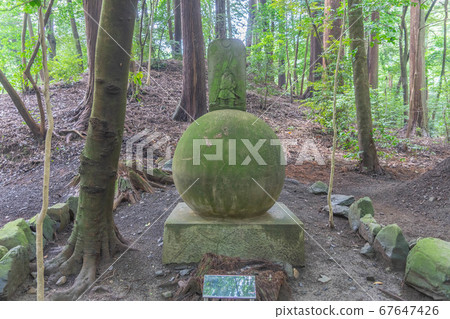 茶花神社4027 茶花神社4027 67647426