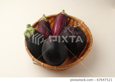 eggplant  67647521