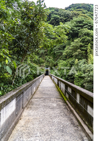 長崎縣西海市直至Tugane Falls的風景 67647723
