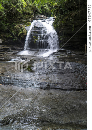 Saikai City, Nagasaki Prefecture Tatsugane Falls in early summer 67647732