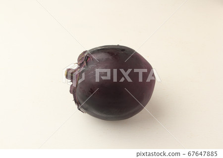 Kamo eggplant 67647885