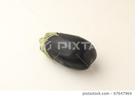 Rice eggplant 67647964