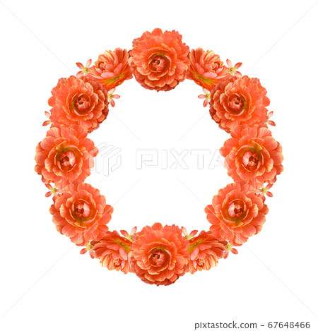 Flower frame orange ranunculus Flower frame orange ranunculus 67648466