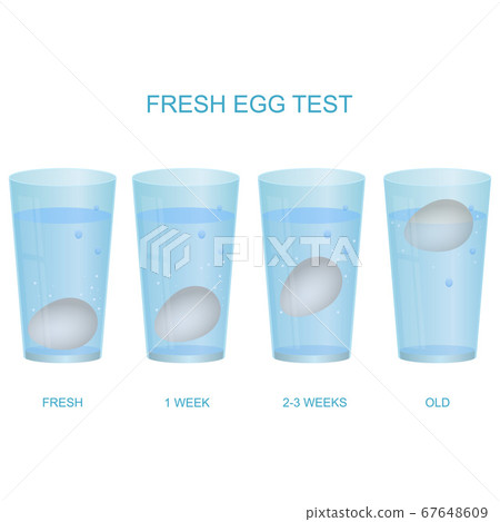 Realistic 3d Detailed Fresh Egg Test Concept Card Poster. Vector 67648609