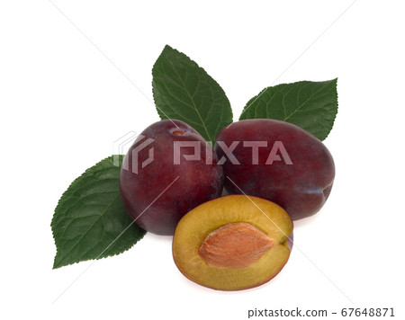 Three plums with plum leaves on white background. 67648871