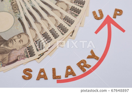 年收入增加 年收入增加 67648897