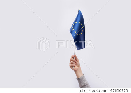 Flag of the European Union in childs hand on white Flag of the European Union in childs hand on white 67650773