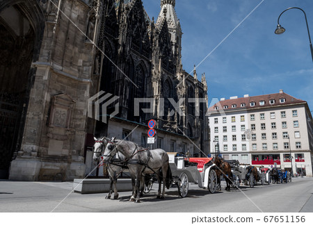Traditional Fiaker Horses With Carriage At Rental Station in Front Of Stephansdom In The City Of Vienna In Austria 67651156