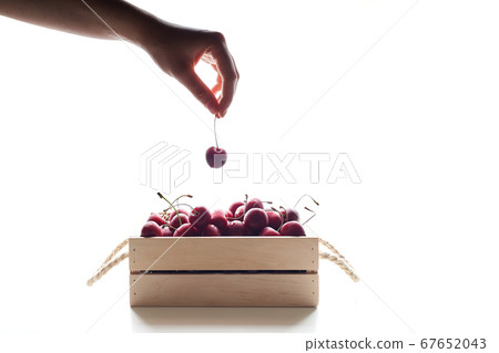 Woman hand holding cherry under Wooden box full of dark red sweet cherries isolated on white background  67652043