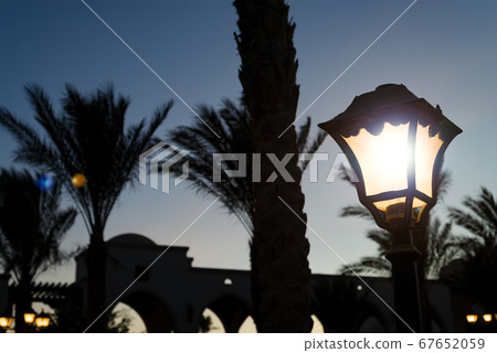 Lighted street lamp with palm trees at night. Lighted street lamp with palm trees at night. 67652059