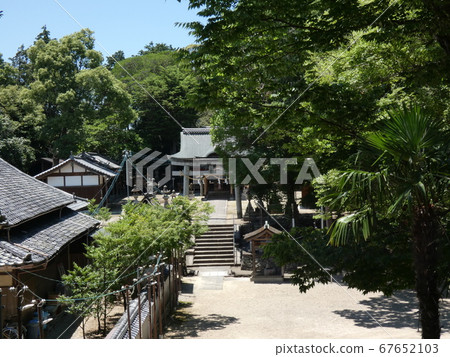 Tanagura Shrine in the grove 67652103