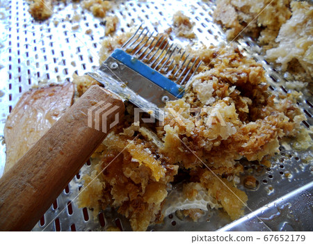 wax honeycomb from a bee hive filled with golden wax honeycomb from a bee hive filled with golden 67652179