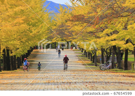銀杏納米木秩父繆斯公園 銀杏納米木秩父繆斯公園 67654599