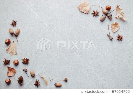 Autumn festive floral background with dry foliage 67654703