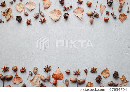 Autumn background with fall leaves and acorns 67654704