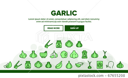 Garlic Spicy Vegetable Landing Header Vector Garlic Spicy Vegetable Landing Header Vector 67655208