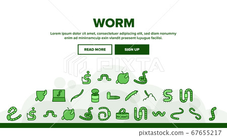 Worm Insect Animal Landing Header Vector 67655217