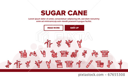 Sugar Cane Agriculture Landing Header Vector Sugar Cane Agriculture Landing Header Vector 67655308